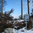 Wanderung Pf__nder Winter 2010 _10_.jpg
