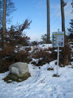 Wanderung Pf__nder Winter 2010 _10_.jpg