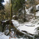 Wanderung Pf__nder Winter 2010 _25_.jpg