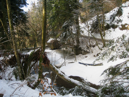 Wanderung Pf__nder Winter 2010 _25_.jpg