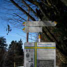 Wanderung Pf__nder Winter 2010 _26_.jpg