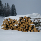 Wanderung Pf__nder Winter 2010 _5_.jpg