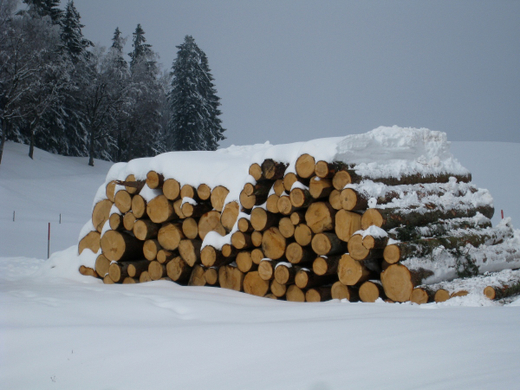 Wanderung Pf__nder Winter 2010 _5_.jpg