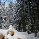 Wanderung Pf__nder Winter 2010 _28_.jpg