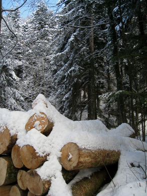 Wanderung Pf__nder Winter 2010 _28_.jpg
