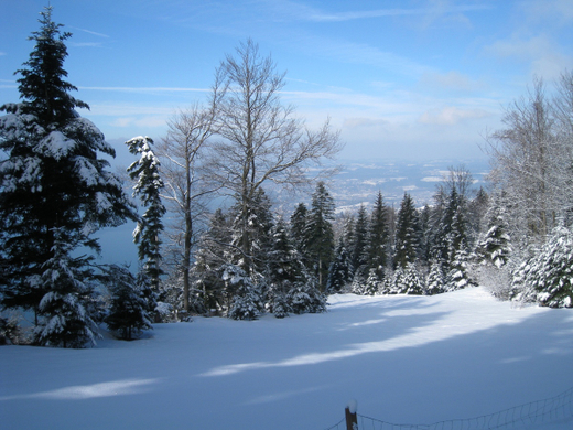 Wanderung Pf__nder Winter 2010 _30_.jpg