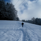 Wanderung Pf__nder Winter 2010 _31_.jpg