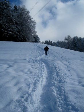 Wanderung Pf__nder Winter 2010 _31_.jpg