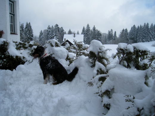 Wanderung Pf__nder Winter 2010 _44_.jpg