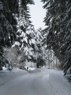Wanderung Pf__nder Winter 2010 _45_.jpg