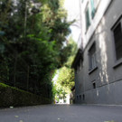 IMG_9920_JPG-1351069924