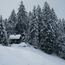Wanderung Pf__nder Winter 2010 _4_.jpg