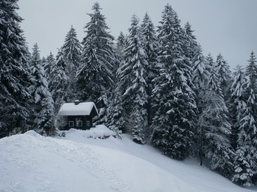 Wanderung Pf__nder Winter 2010 _4_.jpg
