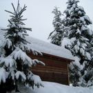Wanderung Pf__nder Winter 2010 _47_.jpg