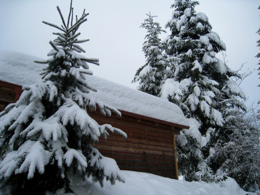 Wanderung Pf__nder Winter 2010 _47_.jpg