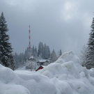 Wanderung Pf__nder Winter 2010 _48_.jpg