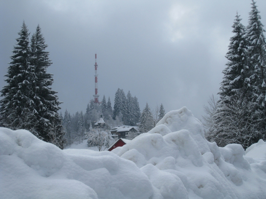 Wanderung Pf__nder Winter 2010 _48_.jpg