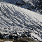 P1040913 _Large__JPG-1351071917