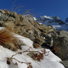 P1040922 _Large__JPG-1351071923