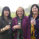 CIMG2474_JPG-1351089834