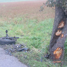 Pkw prallte im Bezirk Neunkirchen an Baum