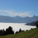 Sonnenbalkon7.JPG