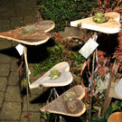 Ausstellung Schwanen 23-10-2012 33_jpg-1351167228