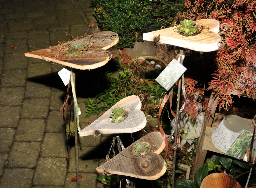Ausstellung Schwanen 23-10-2012 33_jpg-1351167228