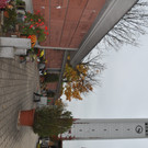 Friedhof Altach 09.JPG