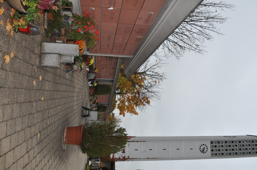 Friedhof Altach 09.JPG