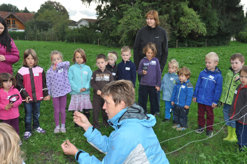 KindergartenKr__uter02.JPG