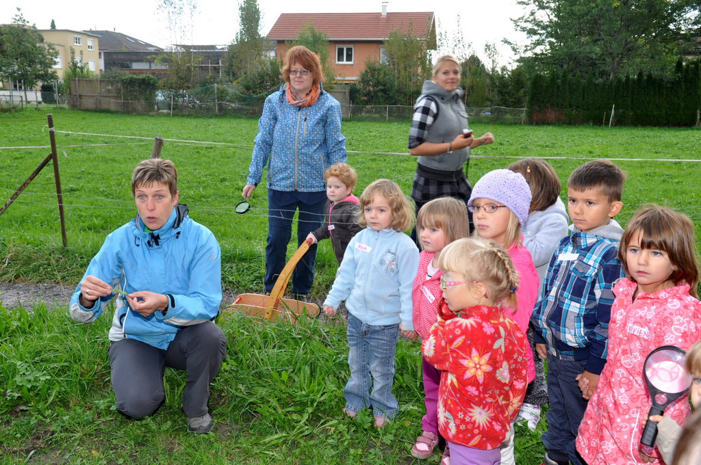 KindergartenKr__uter04.JPG