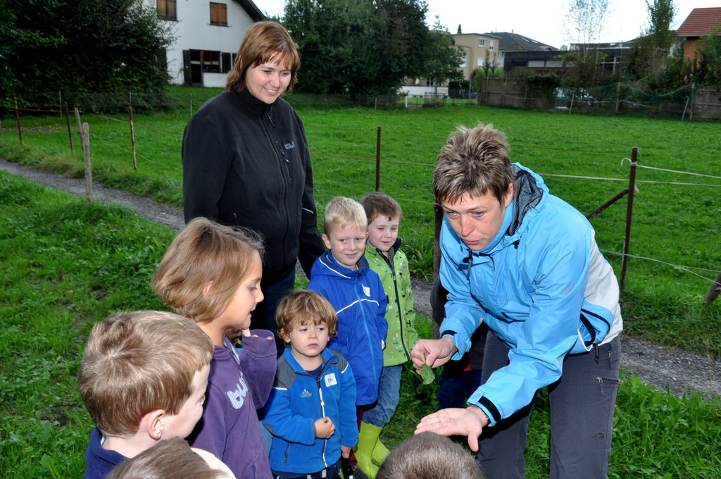 KindergartenKr__uter14.JPG