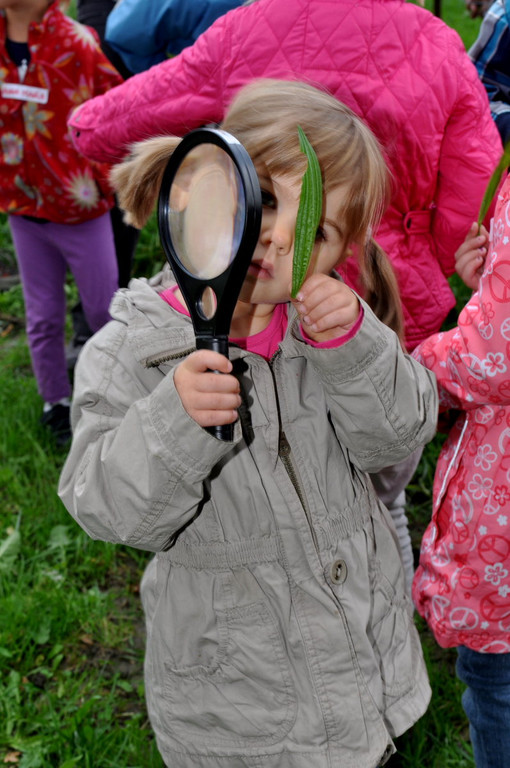 KindergartenKr__uter24.JPG