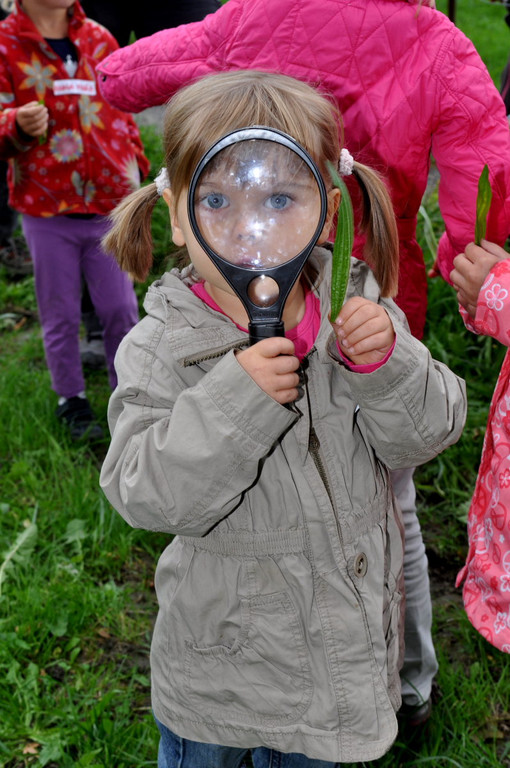 KindergartenKr__uter25.JPG