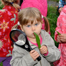 KindergartenKr__uter27.JPG