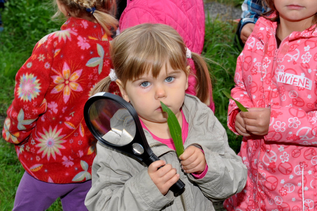KindergartenKr__uter27.JPG