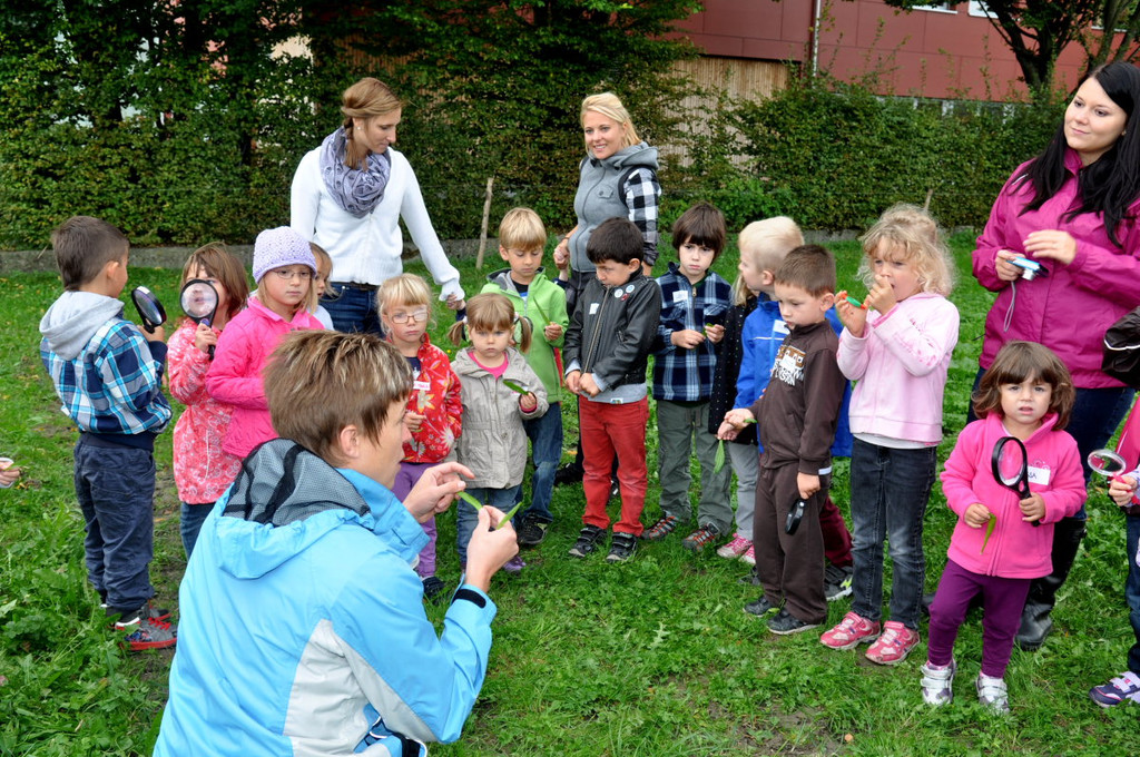 KindergartenKr__uter42.JPG