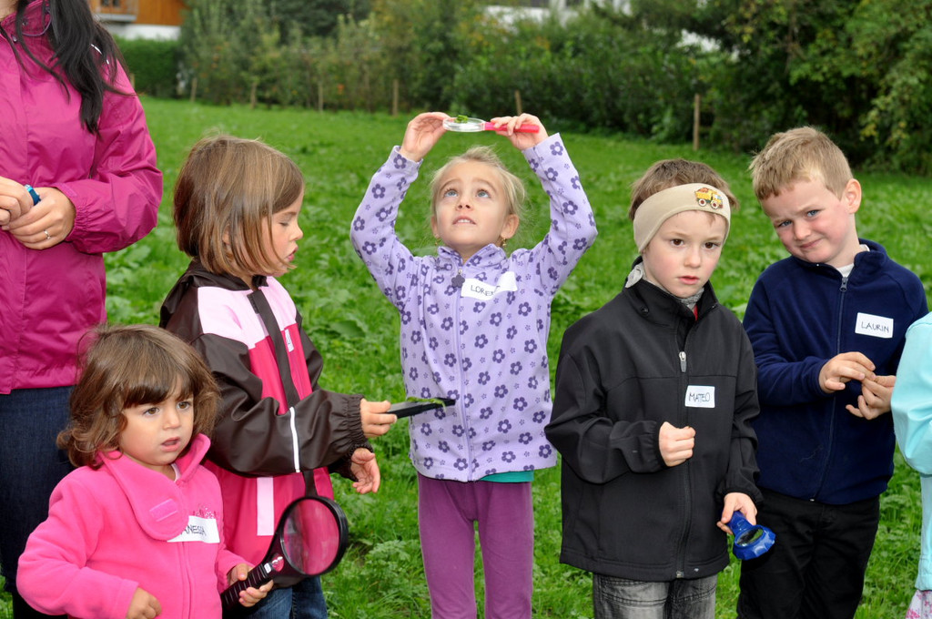 KindergartenKr__uter54.JPG