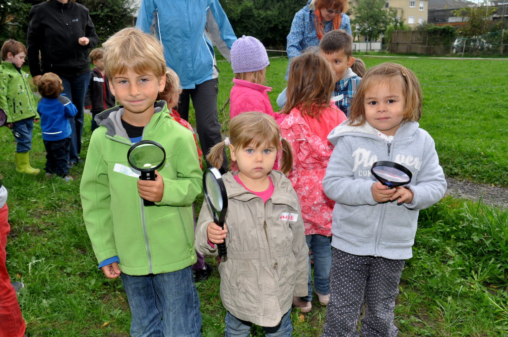 KindergartenKr__uter65.JPG