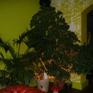 img_8164.jpg