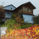 dst-222866.JPG