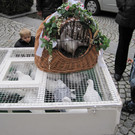 IMG_5664_JPG-1351330984