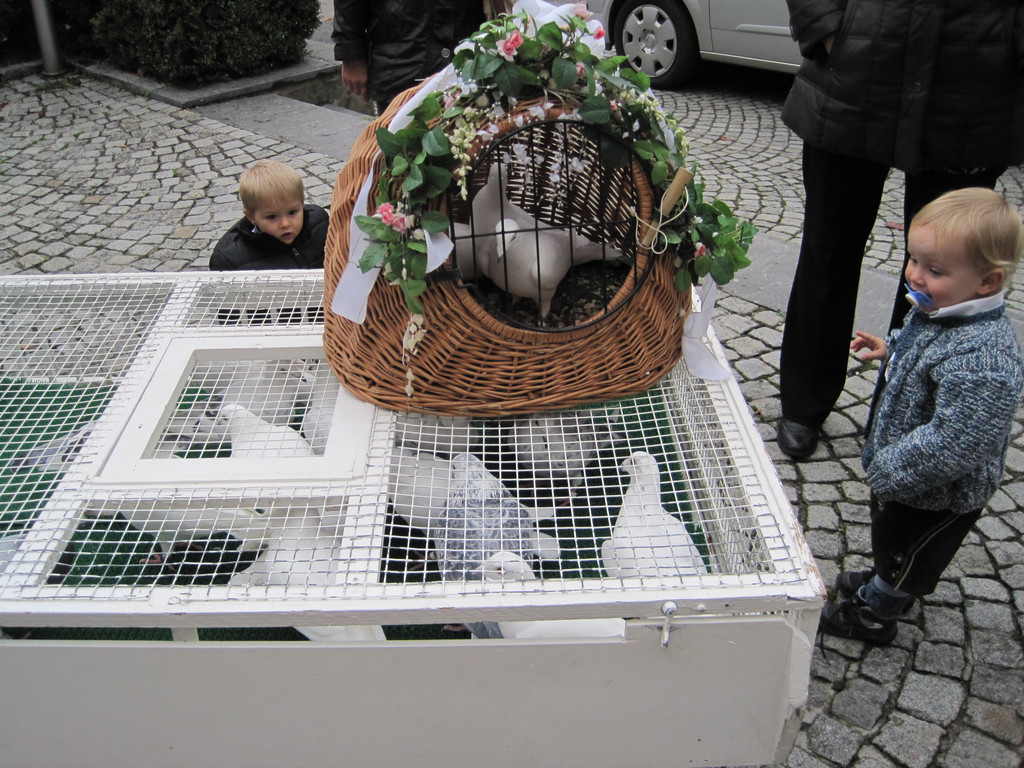 IMG_5664_JPG-1351330984