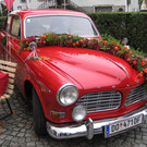 IMG_5668_JPG-1351331387