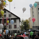 IMG_5685_JPG-1351332498