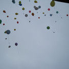 IMG_5686_JPG-1351332550