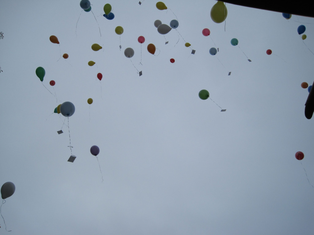 IMG_5686_JPG-1351332550