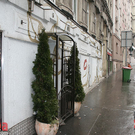 IMG_9911.jpg