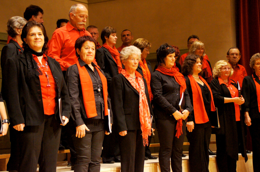 DSC08362_JPG-1351339074